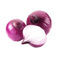 Best selling hot chinese products good priced onions